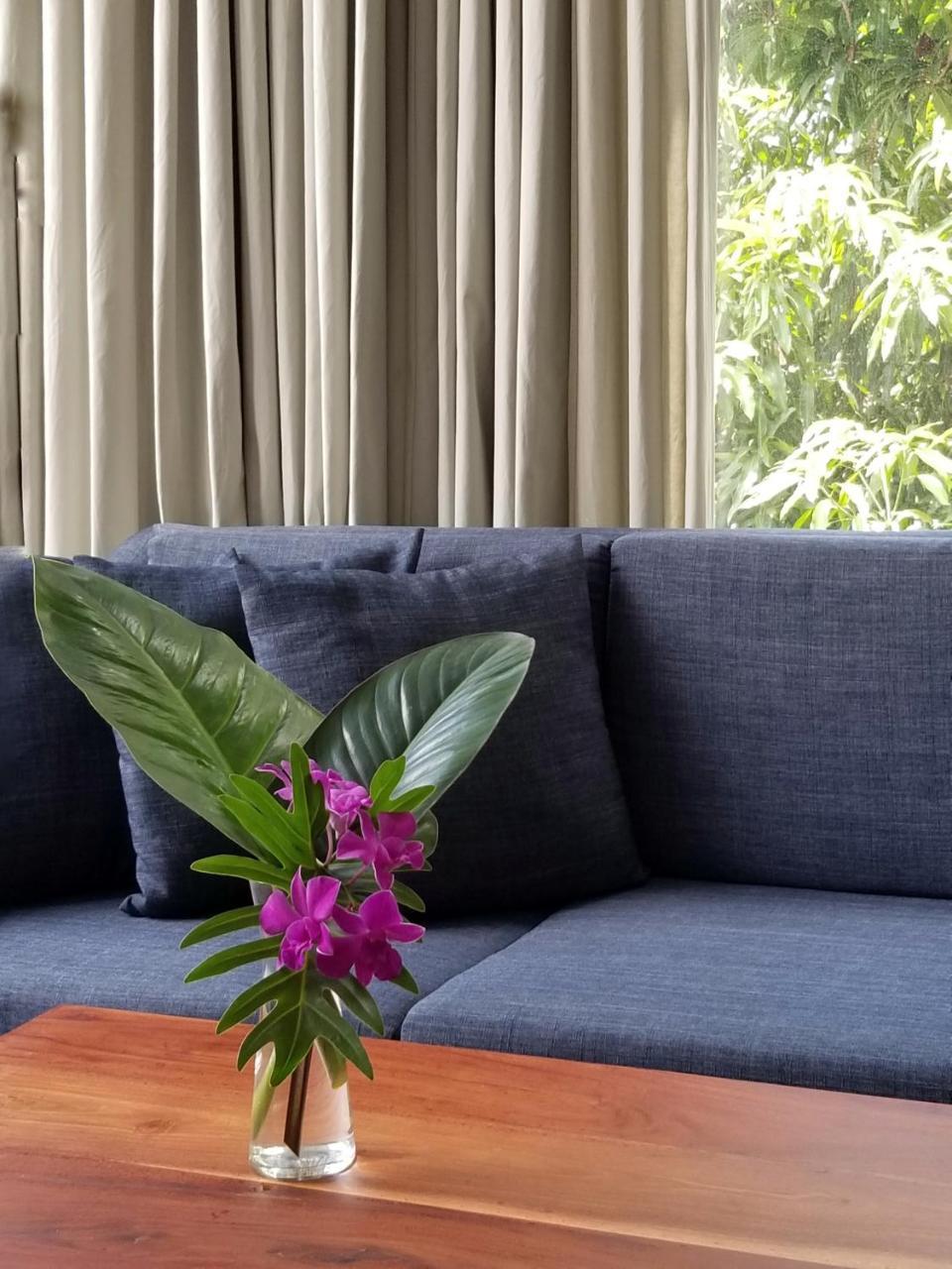 Angkor Siesta Villa Siem Reap Dış mekan fotoğraf